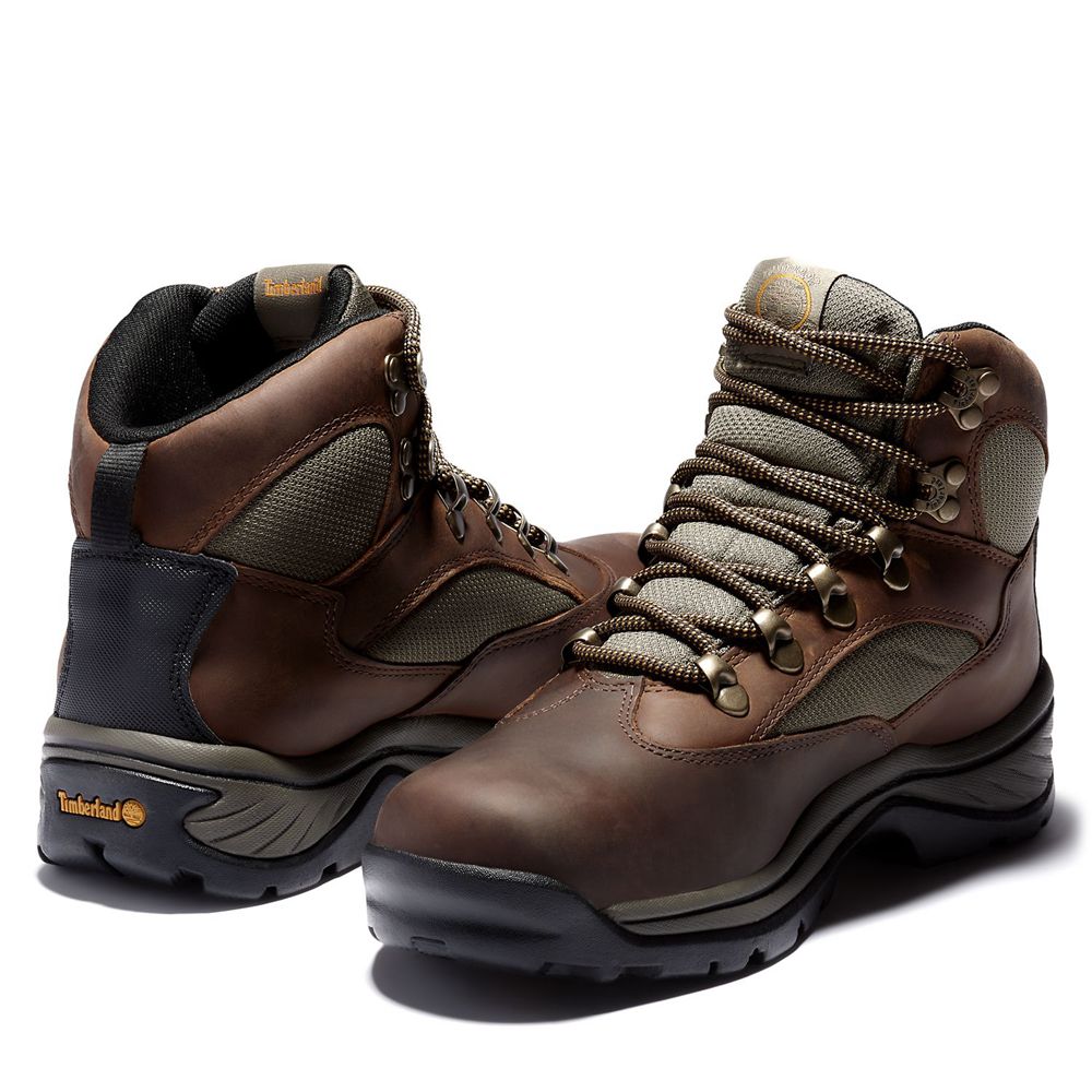 Botas de Caminhada Feminino - Timberland Chocorua Trail Mid Impermeavel - VWBFE9421 - Marrom Escuro